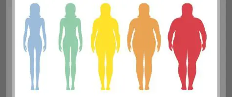 Body Mass Index (BMI) Calculator