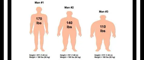 Ideal Body Weight Calculator