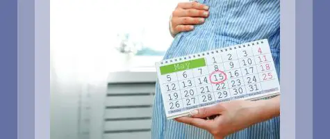 Ovulation Calendar & Calculator